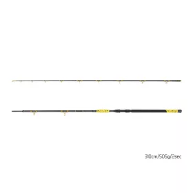 Delphin HAZARD BxG 310cm, 505g, 2dílný sumcový prut