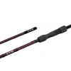Delphin Etna Legend4ry 2dílný Boilies Prut 3,60m