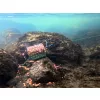 Delphin RiverStix Olověný Feeder Košík 120gr