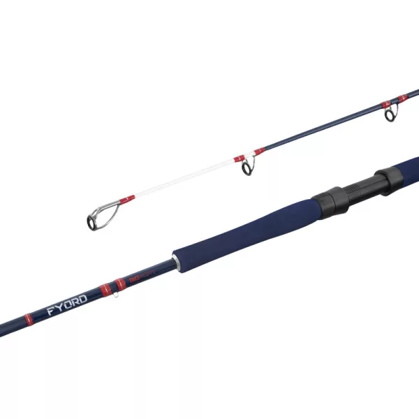 Delphin Fyord BigBoat 2,00m 300-400gr 2dílný sumcový prut