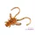 Delphin B! Stinx Nympha Fruity 2,5cm Umelá nástraha 20ks