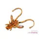 Delphin B! Stinx Nympha Fruity 2,5cm Umelá nástraha 20ks