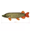 Delphin Piky Plyšová Štika 60cm