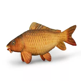 Delphin Carpy Ply&scaron;ov&yacute; Kapr 60cm
