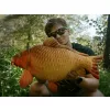 Delphin Carpy Ply&scaron;ov&yacute; Kapr 60cm