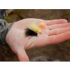 Delphin Fly Pond Trout Sada mušek 10ks