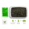 Delphin Reaxe Ready&Go Česnek-Kyselina Máselná Pellet Box 400gr + 120ml Booster a 10mm Wafters