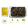 Delphin Reaxe Ready&Go Peletový box Kukuřice-Ananas 400gr + 120ml Booster a 10mm Wafters