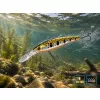 Delphin Wobby Jerk-DP Polar 9cm 12,5gr Wobbler