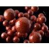 Delphin BreaX SweetBerry 16mm Dipelt Bojli 200ml
