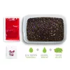 Delphin Reaxe Ready&Go Švestka-Moruše Pellet Box 400gr +120ml Booster + 10mm Wafter