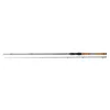 Daiwa Morethan Shad Attack Baitcast 2,10m 14-42gr 2dílný přívlačový prut