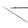 Carp Expert Evolution Power Bolo 5m 5-35gr Bolo prut