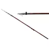 Carp Expert Evolution Power Bolo 6m 5-35gr Bolo prut