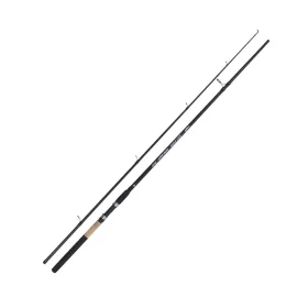 Kamasaki Big Fish 3,00m 40-80gr 2dílný sumcový prut