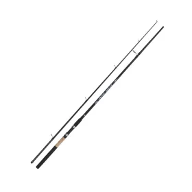 Kamasaki Big Fish 3,00m 100-200gr 2dílný sumcový prut
