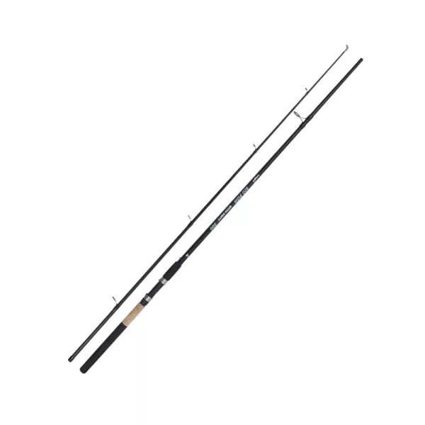 Kamasaki Big Fish 3,00m 100-200gr 2dílný sumcový prut