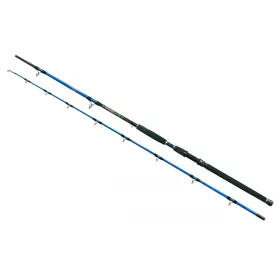Wizard Cat Pro Power 2 dílný 600-800gr 3,00m Prut na sumce