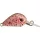 Rapture Pro Hot Buzz Oblast S CAS 2,5cm 3gr Wobler