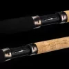 NEVIS Motive Carp Match 390 30g Match prut