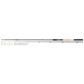 NEVIS Barbel River Feeder 300XXH 80-200g Feeder prut