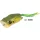 Rapture Popper Frog 6cm 15gr Weed Gumová žába