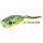 Rapture Popper Frog 6cm 15gr Leop. Weed Gumová žába