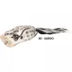 Rapture Popper Frog 6cm 15gr Albino Gumová žába