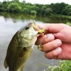 Tiemco Necromancer 6,5gr 4,5cm 02 Holo Gold Black Spinnerbait
