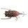 Tiemco Cicada Origin Magnum F 4,5cm 6gr 060 Imitace brouka