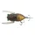 Tiemco Cicada Origin Magnum F 4,5cm 6gr 062 Imitace brouka
