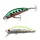Tiemco Sumari 50FS 5,0cm 4,4gr 199 Hiro-Sp Wobbler