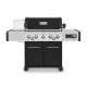 Broil King Regal Q 590 IR Plynový gril 81x48,9cm Černý