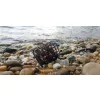 Nevis River Feeder Košík 80g