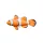 Rybí polštář Nemo Baby