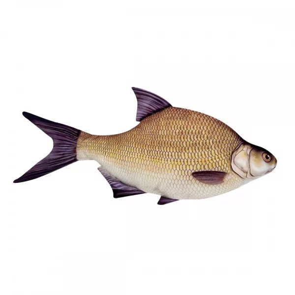 Rybí polštář Plotička 34Cm