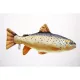 EnergoTeam The Brown Trout 62cm Polštář s motivem ryby