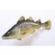 EnergoTeam The Atlantic Cod 75cm Polštář s motivem ryby