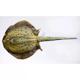 EnergoTeam The Bluespotted Stingray 85cm Rybí polštář