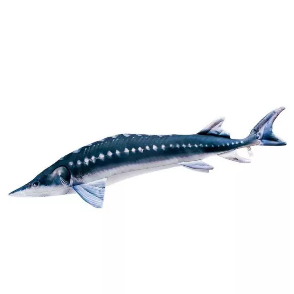 EnergoTeam The Monster European Sturgeon 200cm Rybí polštář