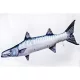EnergoTeam The Barracuda 110cm Rybí polštář