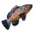 EnergoTeam The Dusky Grouper 100cm rybářský polštář