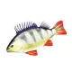 EnergoTeam The Monster Perch 160cm Polštář ve tvaru ryby