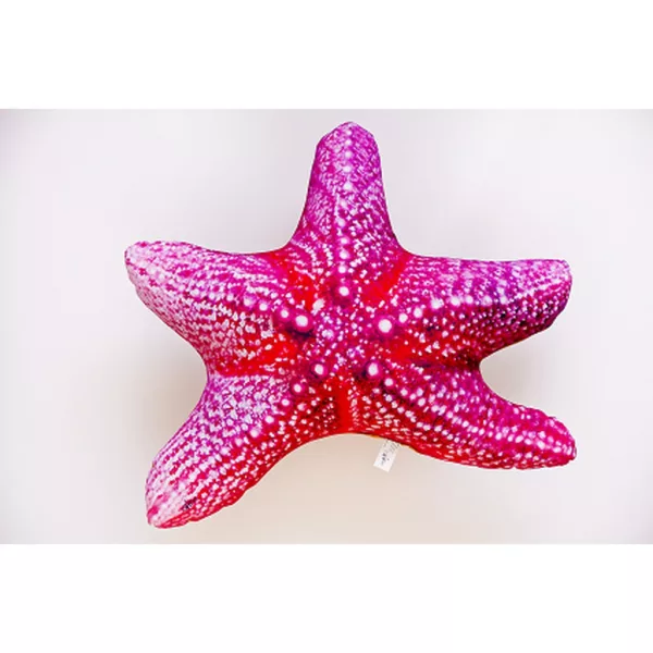 EnergoTeam The Starfish 55cm Rybářský polštář