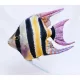 EnergoTeam The Freshwater Angelfish 51cm Rybí polštář