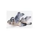 EnergoTeam The Grey Seal 55cm Rybí Polštář
