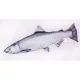 EnergoTeam The Chinook Salmon 90cm Rybí Polštář