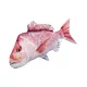 EnergoTeam The Snapper 102cm Rybářský polštář