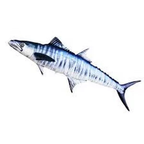 EnergoTeam The Mackerel Spanish 102cm Rybářský polštář