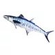 EnergoTeam The Mackerel Spanish 102cm Rybářský polštář